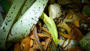 Tri des biod&eacute;chets: un geste qui reste  &agrave; la port&eacute;e d'une minorit&eacute; de Fran&ccedil;ais 