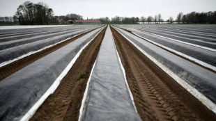 Agrarminister der L&auml;nder fordern Ausnahmen beim Mindestlohn