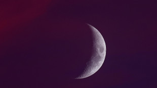 Un'insolita Luna Nera &egrave; l'ultimo spettacolo nel cielo del 2024