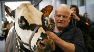 L'&eacute;leveur d'Oreillette, &eacute;g&eacute;rie du Salon de l'agriculture, veut "d&eacute;fendre la race normande"