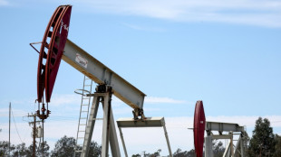 IEA erwartet &Uuml;berproduktion von &Ouml;l im kommenden Jahr trotz K&uuml;rzungen der Opec