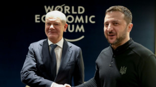 Allemagne: l'Ukraine s&egrave;me la discorde avant les &eacute;lections