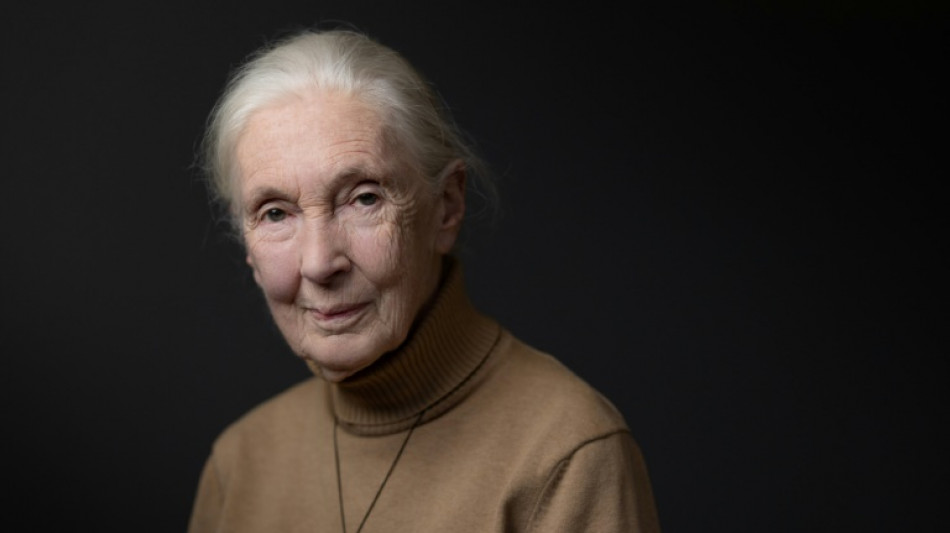 La primat&oacute;loga brit&aacute;nica Jane Goodall alerta de que "el tiempo apremia" y urge a la COP16 a actuar 