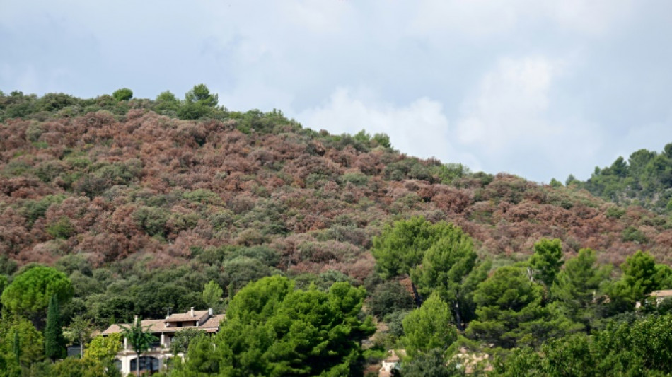 2022 war das hei&szlig;este Jahr &uuml;berhaupt in Frankreich