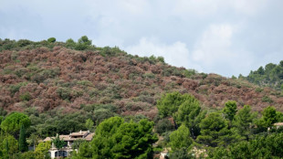 2022 war das hei&szlig;este Jahr &uuml;berhaupt in Frankreich