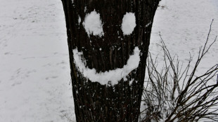 Lebenszufriedenheit der Deutschen stabil - Hamburger am gl&uuml;cklichsten