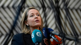 Espa&ntilde;a critica la  decisi&oacute;n de Ferrovial de mudarse a los Pa&iacute;ses Bajos