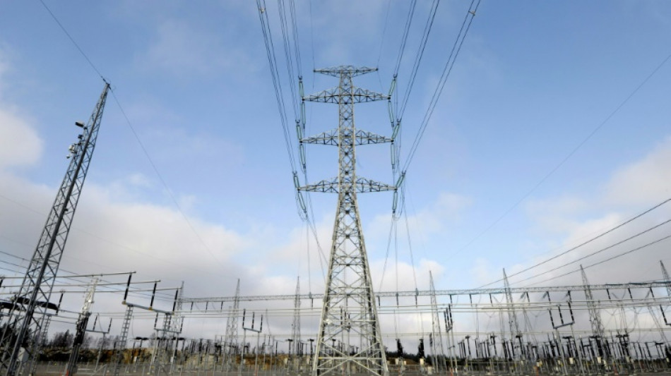 Bundeskartellamt will teils &auml;u&szlig;erst hohe Preise an Stromb&ouml;rsen &uuml;berpr&uuml;fen