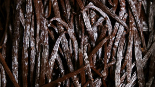 L'avenir incertain de la vanille de La R&eacute;union