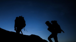 Dans les Pyr&eacute;n&eacute;es, les &eacute;quipes de l'OFB &eacute;paulent les bergers contre les attaques de l'ours