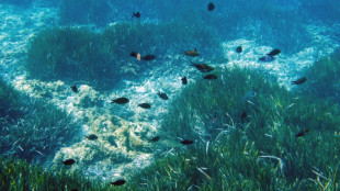 Cient&iacute;ficos cartograf&iacute;an el lecho marino, m&aacute;s desconocido que la Luna