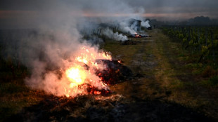 Gel: plus de peur que de mal &agrave; Saint-Emilion