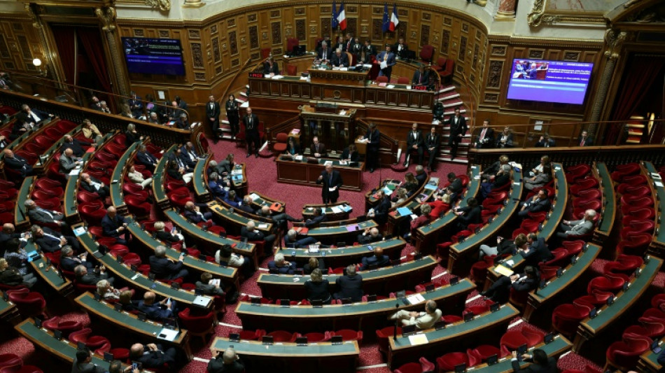 Le budget au S&eacute;nat, derni&egrave;res heures apais&eacute;es pour un gouvernement en sursis