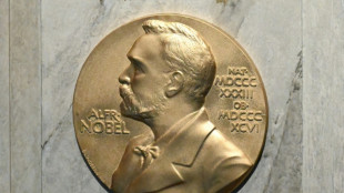 Cinco pontos sobre os Pr&ecirc;mios Nobel