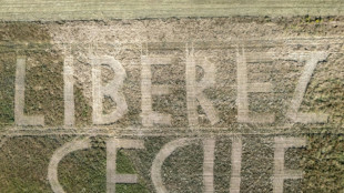 'Terrified': Supporters fear for prisoners trapped in Iran