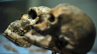 Deux &eacute;tudes &eacute;clairent l'histoire des premiers hommes modernes