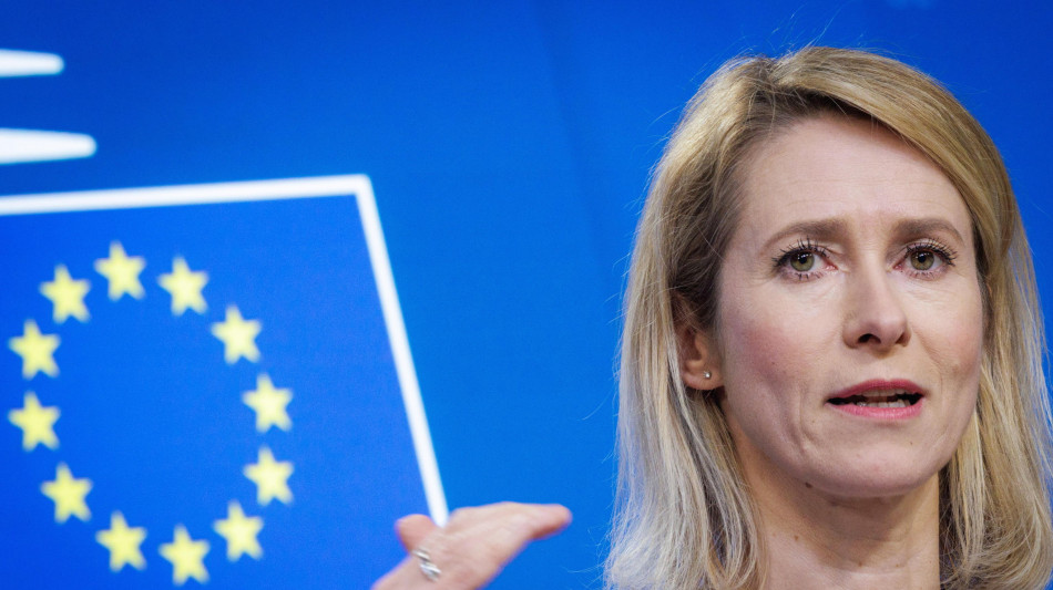 L'Ue condanna l'esecuzione di cittadino svedese in Iran, 'violenza brutale'