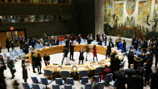 Le Conseil de s&eacute;curit&eacute; de l'ONU prolonge ses n&eacute;gociations sur l'aide humanitaire transfrontali&egrave;re &agrave; la Syrie
