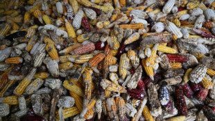 Au Guatemala, en proie aux conditions climatiques extr&ecirc;mes, on apprend &agrave; s'adapter