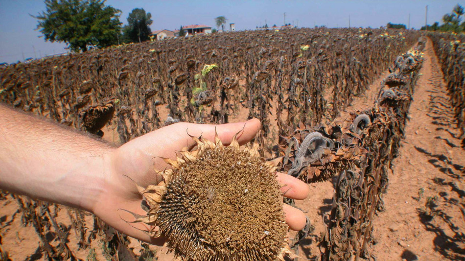 Bozza Dl Mase, pi&ugrave; poteri alle Regioni in caso di siccit&agrave;