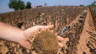 Bozza Dl Mase, pi&ugrave; poteri alle Regioni in caso di siccit&agrave;