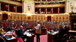 Budget de la S&eacute;cu: le S&eacute;nat lance son marathon budg&eacute;taire, sans marge de manoeuvre