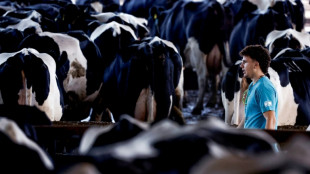 Des dizaines de milliers de b&eacute;n&eacute;voles isra&eacute;liens &agrave; la rescousse des agriculteurs priv&eacute;s de main-d'oeuvre