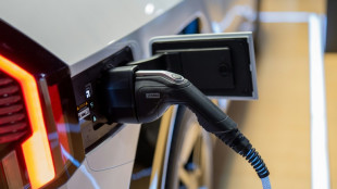 Branchenverband: Lades&auml;ulen-Angebot f&uuml;r aktuelle Anzahl E-Autos sehr hoch