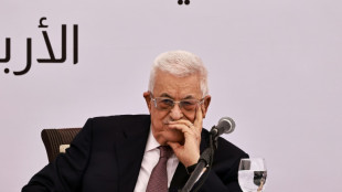 Presidente de Autoridad Palestina dice que reconocimiento del Estado llevar&aacute; a "paz duradera"