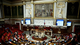 Ouverture des d&eacute;bats sur la fin de vie dans l'h&eacute;micycle de l'Assembl&eacute;e
