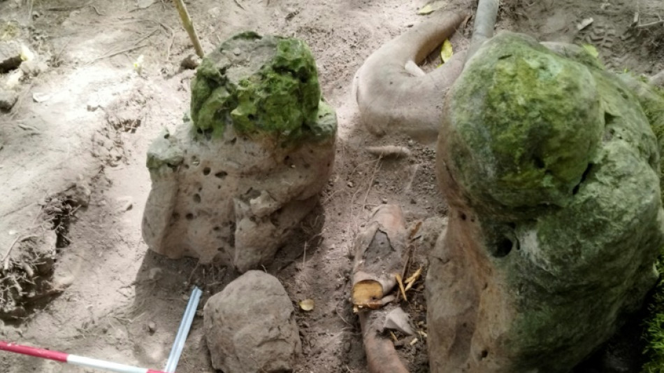 Fast 3000 Jahre alte Maya-Stadt in Guatemala entdeckt