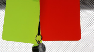 Meier &uuml;ber Schiedsrichter: "Professionelle Strukturen" n&ouml;tig