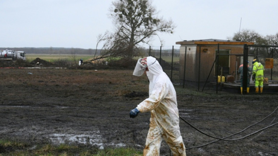 Erd&ouml;lpipeline nach Havarie wieder in Betrieb gegangen