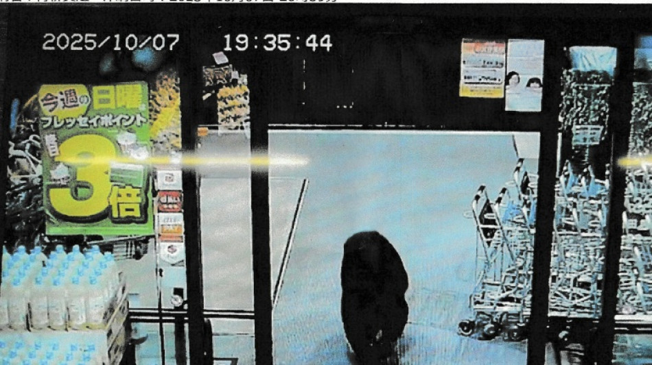 Japon: sept morts dans des attaques d'ours cette ann&eacute;e, un record 