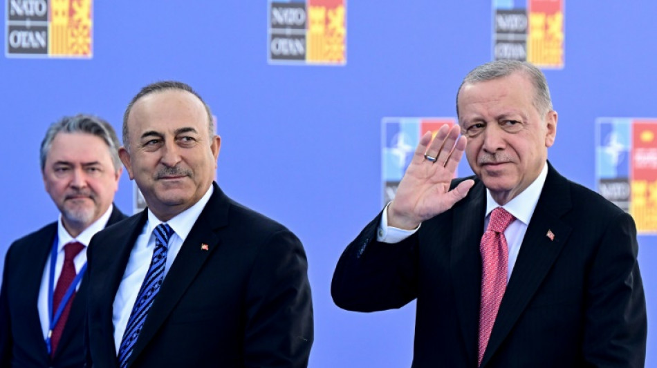 Turqu&iacute;a reclama a Finlandia y Suecia la extradici&oacute;n de 33 sospechosos de terrorismo