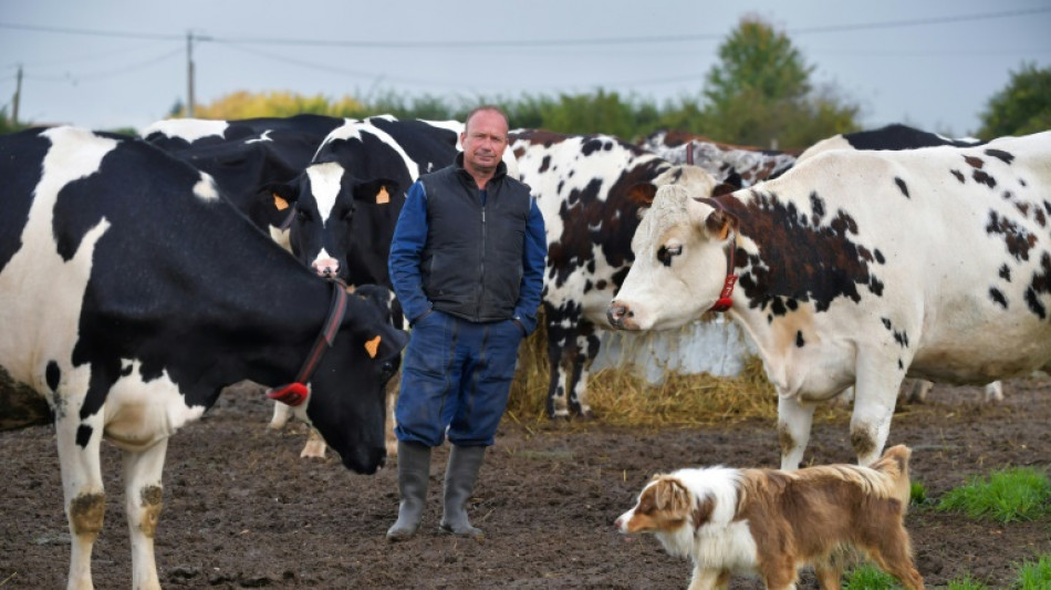 EU-Kommission will fairere Vertr&auml;ge f&uuml;r Bauern