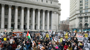 Juiz autoriza que palestino amea&ccedil;ado com deporta&ccedil;&atilde;o fale em privado com advogados