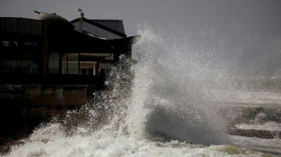 Afrique du Sud: des vagues hors normes frappent les c&ocirc;tes du Cap