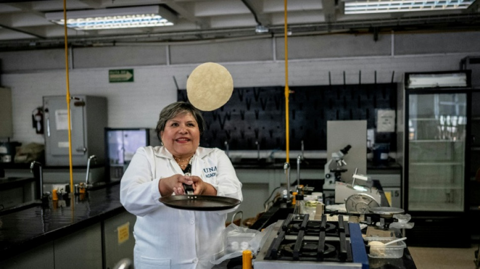 Desarrollan en M&eacute;xico una tortilla contra la desnutrici&oacute;n y falta de neveras
