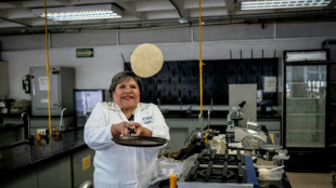 Desarrollan en M&eacute;xico una tortilla contra la desnutrici&oacute;n y falta de neveras