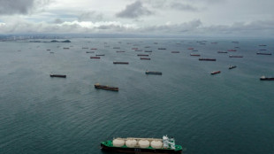 Face &agrave; la s&eacute;cheresse, le canal de Panama restreint pour un an le passage des navires