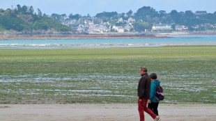 Algues vertes: l'&Eacute;tat devra faire plus contre la pollution aux nitrates