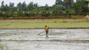 Vietnam: le delta du M&eacute;kong menac&eacute; par l'&eacute;puisement de ses r&eacute;serves de sable, selon le WWF