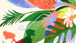 Candide di Leonard Bernstein per la prima volta a Bologna