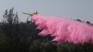 Les incendies sous contr&ocirc;le en Isra&euml;l, les routes rouvertes
