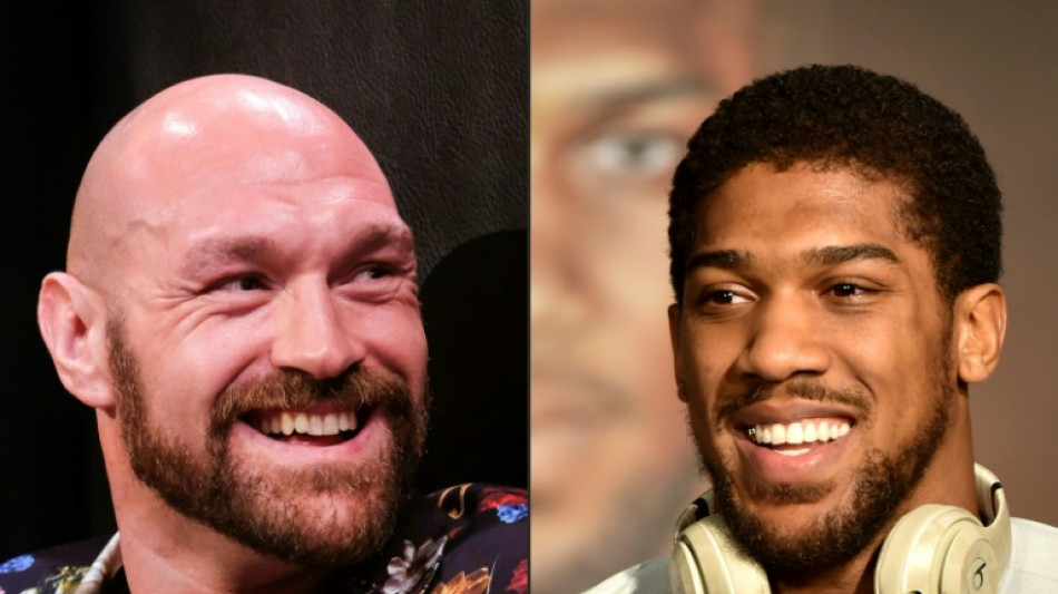 Joshua accepts terms for Fury fight: management team