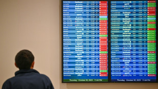 Wegen Haushaltssperre werden Inlandsfl&uuml;ge in den USA gestrichen 