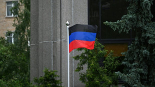 Ukraine: les prorusses convoquent dans l'urgence des r&eacute;f&eacute;rendums d'annexion par la Russie