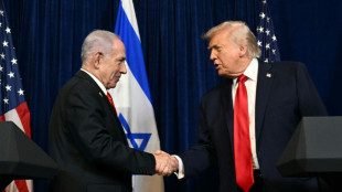 Trump re&ccedil;oit Netanyahu, qui demande une pression am&eacute;ricaine maximale sur l'Iran