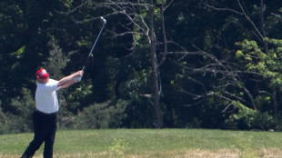 $TRUMP dinner blurs lines between profit and politics